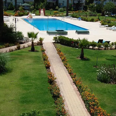 Palmiye *